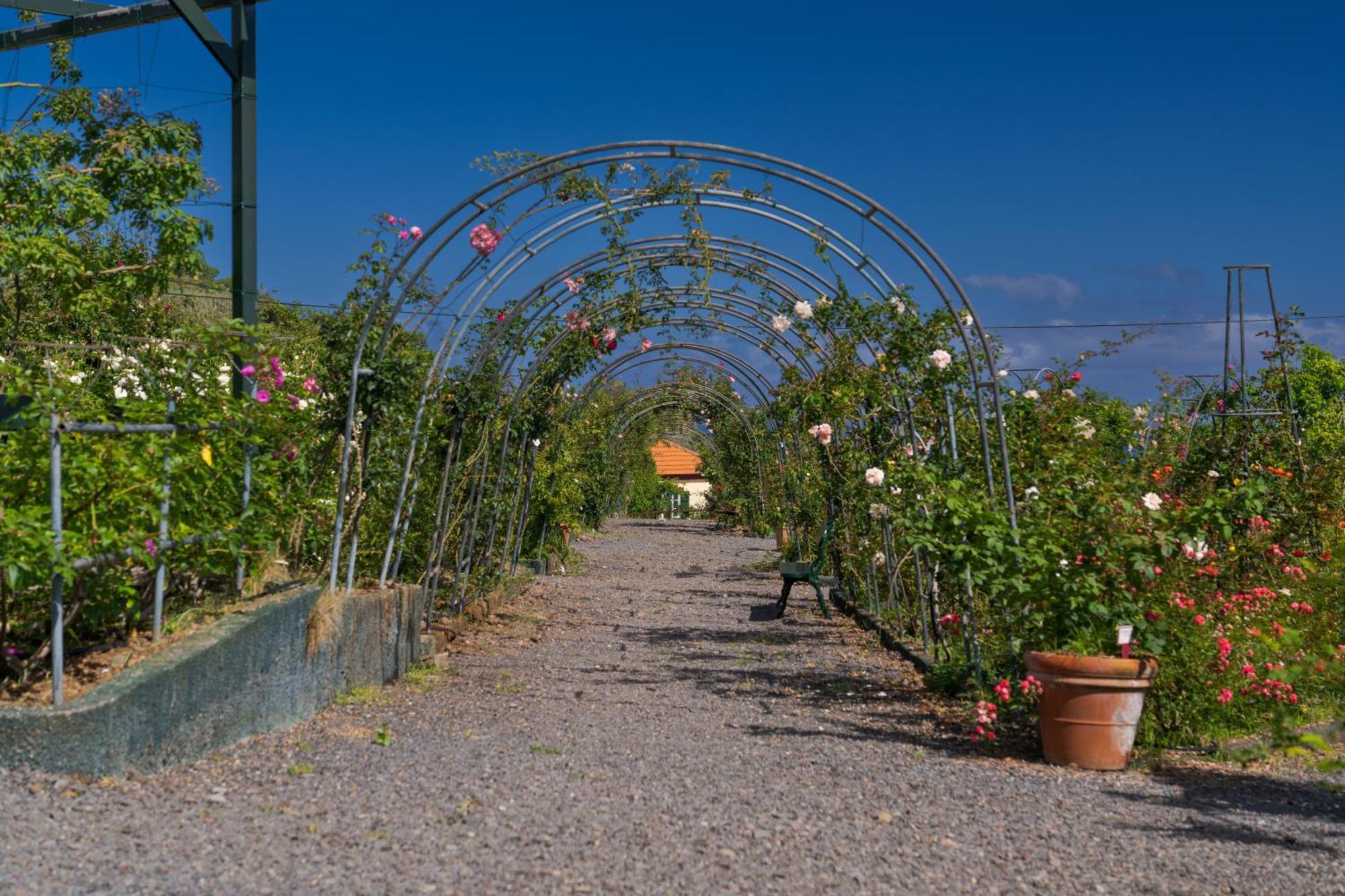Pestana Quinta Do Arco Nature & Rose Garden Hotel Arco de Sao Jorge Exterior photo
