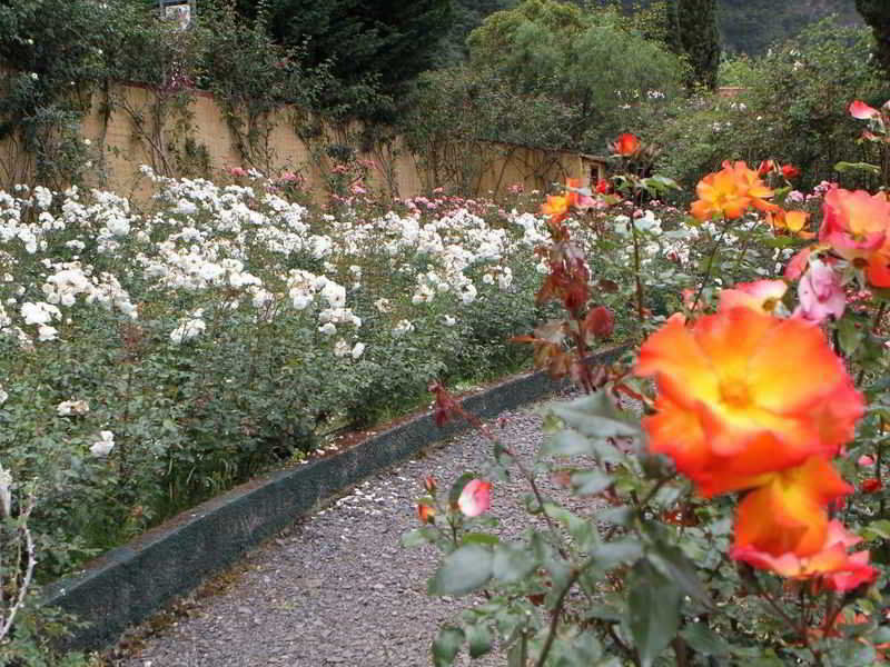 Pestana Quinta Do Arco Nature & Rose Garden Hotel Arco de Sao Jorge Exterior photo